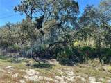  Woodstork Way - Photo 1