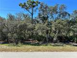  Woodstork Way - Photo 11
