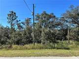  Woodstork Way - Photo 19