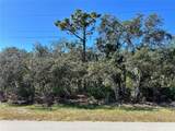  Woodstork Way - Photo 7