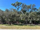  Woodstork Way - Photo 8