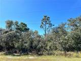  Woodstork Way - Photo 15