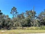  Woodstork Way - Photo 16