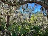  Woodstork Way - Photo 5