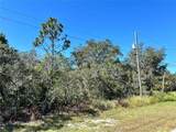 Woodstork Way - Photo 10