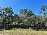  Woodstork Way - Photo 14