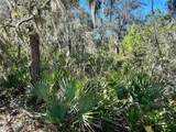  Woodstork Way - Photo 7