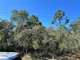  Woodstork Way - Photo 8