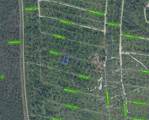 8655 Pavia Street - Photo 2