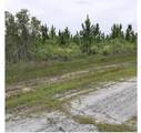  Calliandra Drive - Photo 1