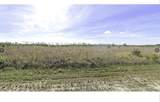  Calliandra Drive - Photo 2