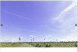  Calliandra Drive - Photo 5
