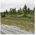  Calliandra Drive - Photo 6