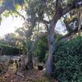 991 Old Cutler Road - Photo 37