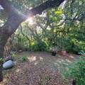 991 Old Cutler Road - Photo 39