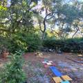 991 Old Cutler Road - Photo 40