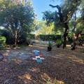 991 Old Cutler Road - Photo 42