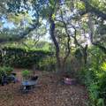 991 Old Cutler Road - Photo 43