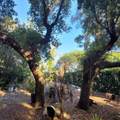 991 Old Cutler Road - Photo 44