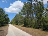 508 Orchid Drive - Photo 2