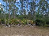 508 Orchid Drive - Photo 3