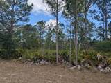 508 Orchid Drive - Photo 6