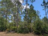508 Orchid Drive - Photo 7