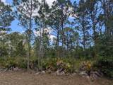 508 Orchid Drive - Photo 8