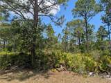 508 Orchid Drive - Photo 9