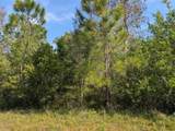 704 Orchid Drive - Photo 1