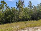 704 Orchid Drive - Photo 4