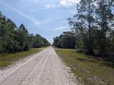704 Orchid Drive - Photo 5