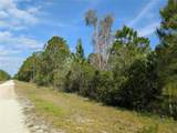 704 Orchid Drive - Photo 6