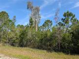 704 Orchid Drive - Photo 7