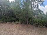  Allamanda Drive - Photo 1