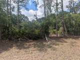  Allamanda Drive - Photo 4