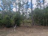  Allamanda Drive - Photo 6