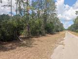  Allamanda Drive - Photo 9