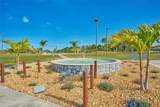 6225 Amaryllis Drive - Photo 51