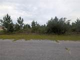 221 Tropicana Drive - Photo 4