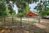 7 Lake Arrowhead Drive - Photo 13