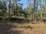819 & 821 Allamanda Drive - Photo 1
