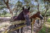 10740 Jim Edwards Road - Photo 41