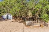10740 Jim Edwards Road - Photo 44