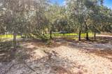 10740 Jim Edwards Road - Photo 45