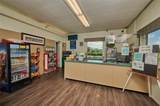 523 Belmonte Drive - Photo 25
