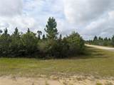 523 Belmonte Drive - Photo 3