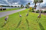 4807 Plumwood Street - Photo 48