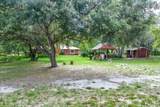 1273 Scrub Jay Trail - Photo 58