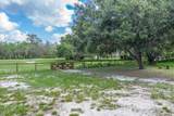 1273 Scrub Jay Trail - Photo 59